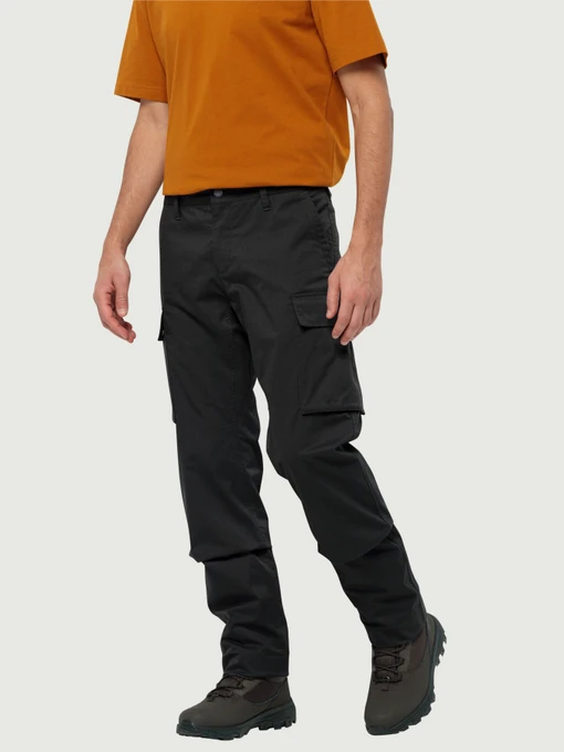 Брюки Jack Wolfskin Arctic Road Cargo модель 1505762_6000 Фото