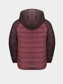 Куртки и дубленки Jack Wolfskin Zenon Jacket модель 1604145_2428 Фото