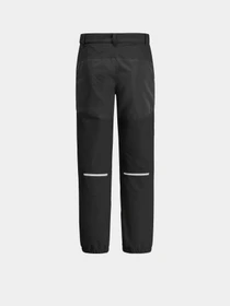 Брюки Jack Wolfskin Rascal Winter модель 1604194_6000 Фото
