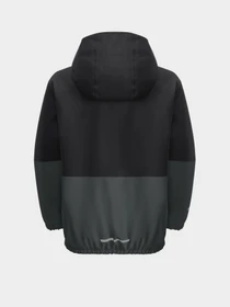 Куртки и дубленки Jack Wolfskin Blocky Jacket модель 1610111_4136 Фото