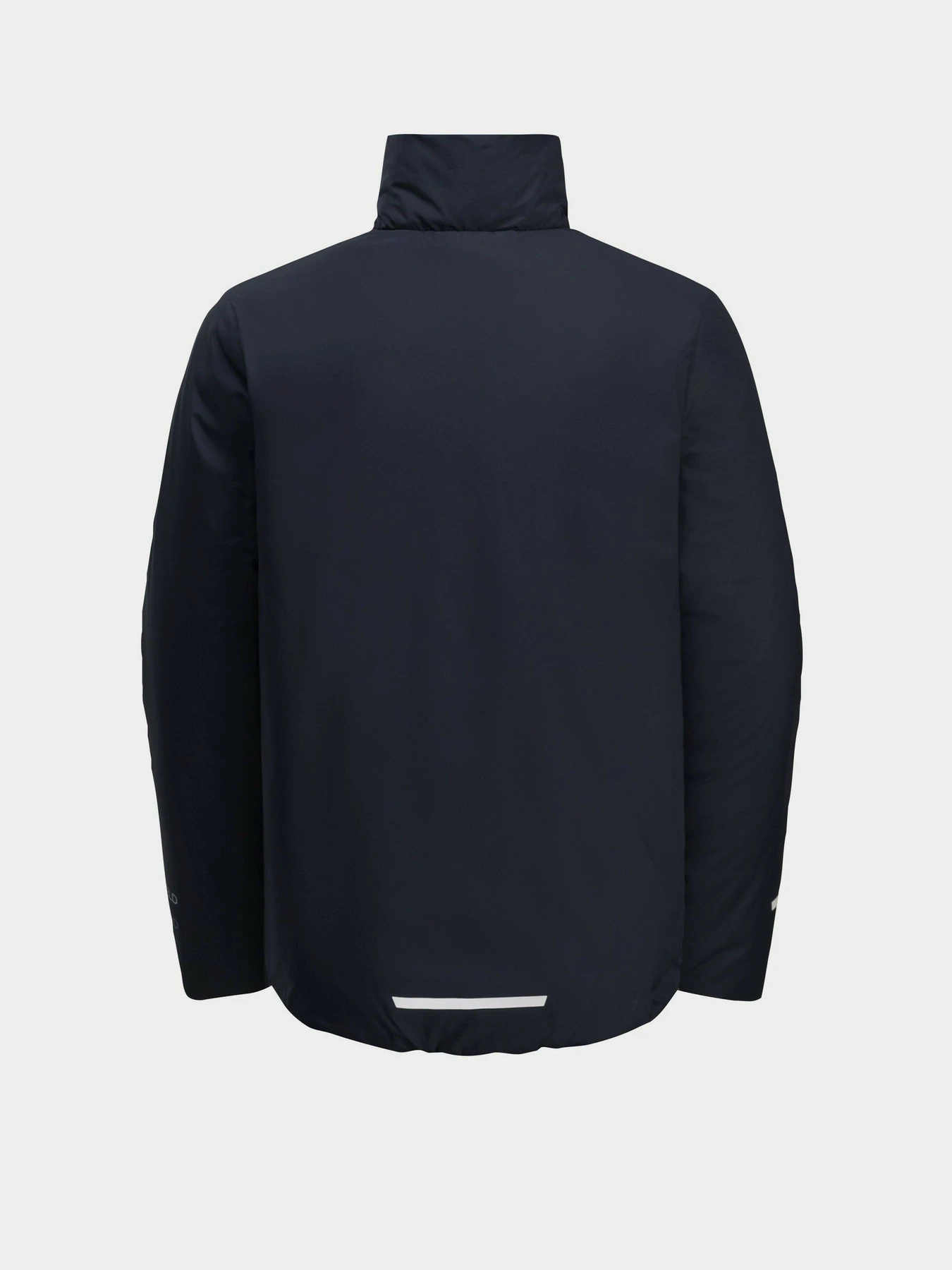 Куртки и дубленки Jack Wolfskin Solyd Ins Jacket модель 1610141_1010 Фото