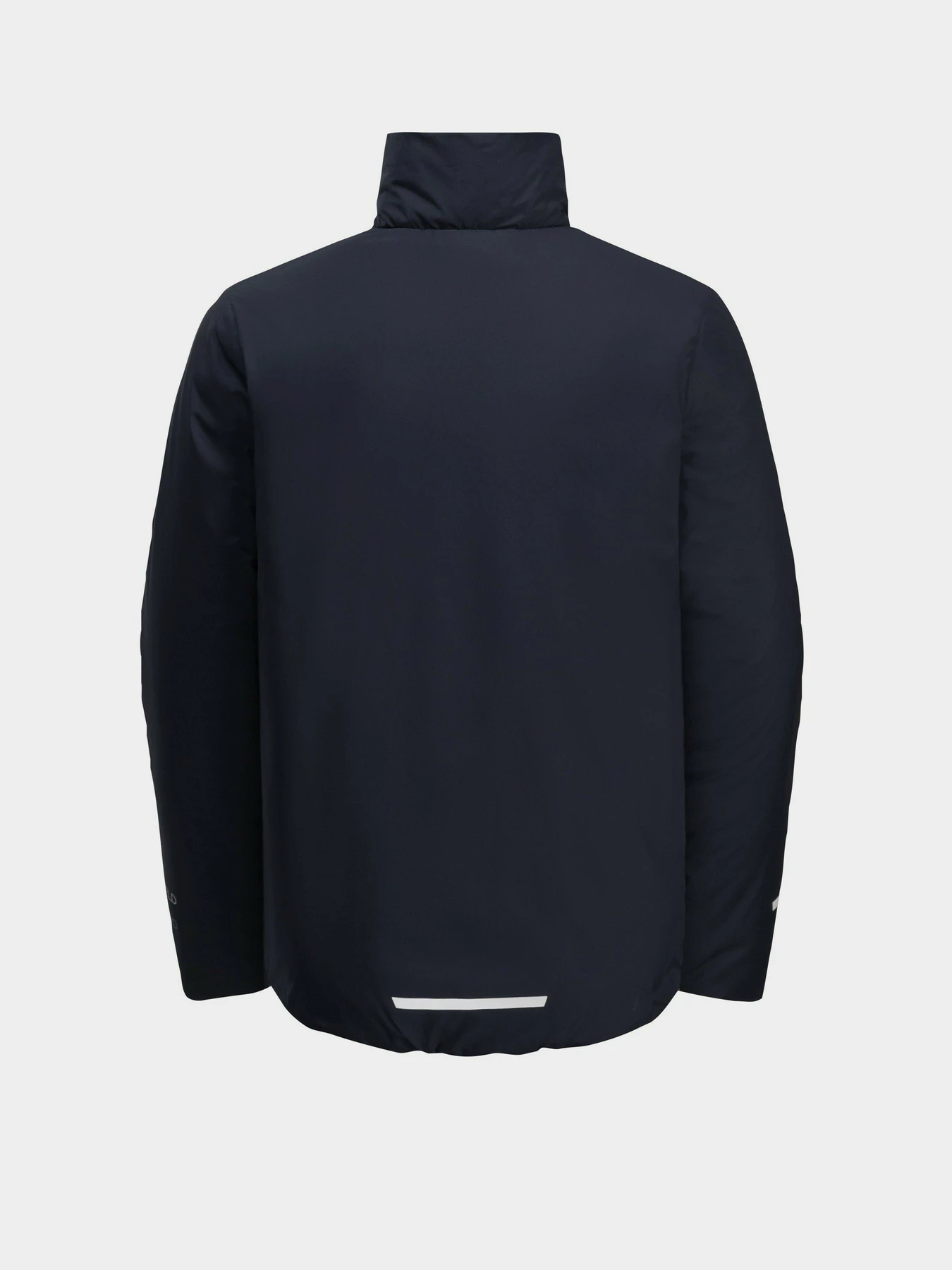 Куртки и дубленки Jack Wolfskin Solyd Ins Jacket модель 1610141_1010_164 Фото