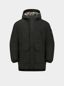 Куртки и дубленки Jack Wolfskin Teen 2L INS модель 1610151_6502 Фото