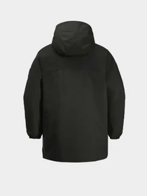 Куртки и дубленки Jack Wolfskin Teen 2L INS модель 1610151_6502 Фото