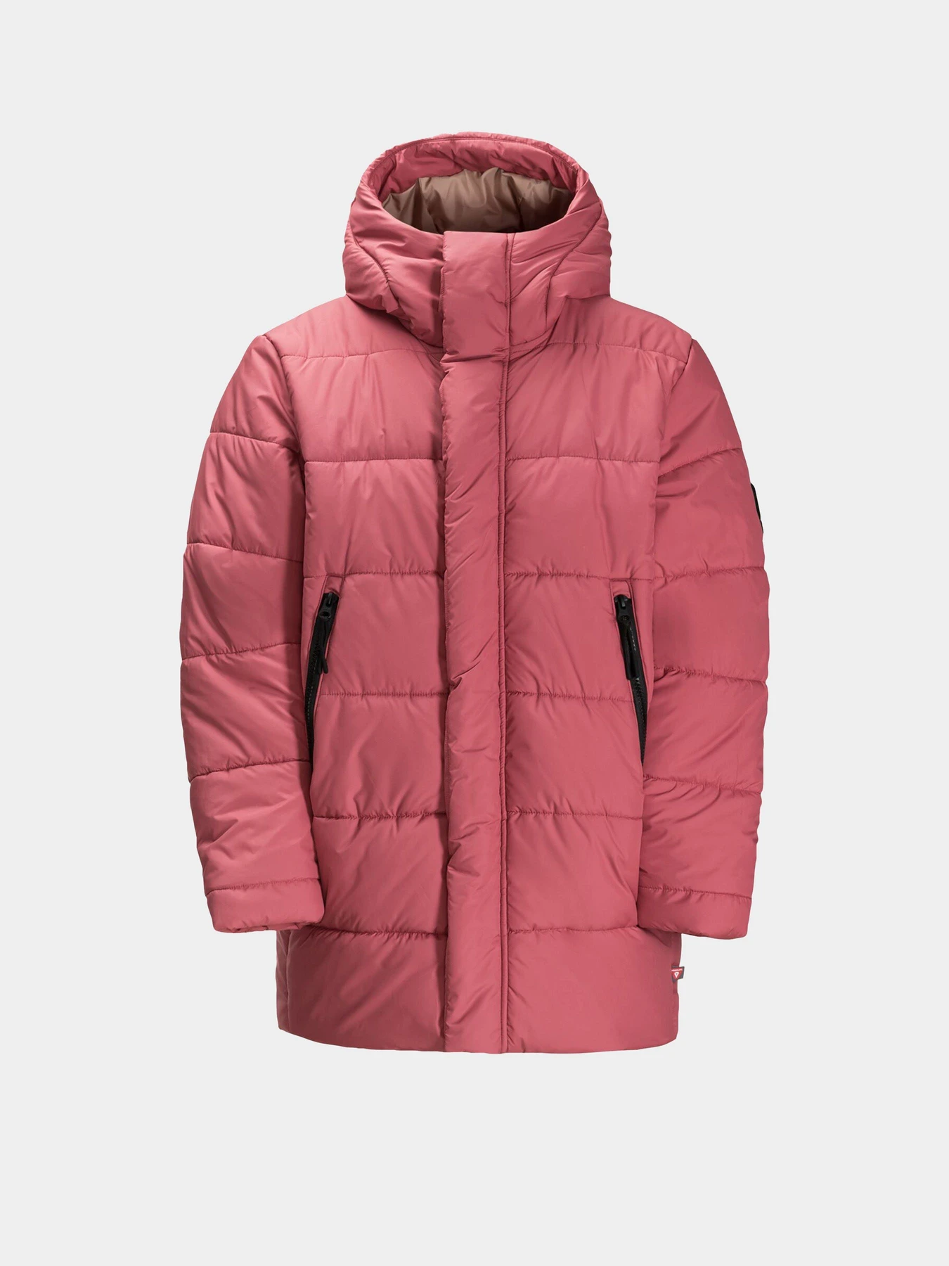Куртки та дублянки Jack Wolfskin Teen Ins модель 1610171_2428 Фото