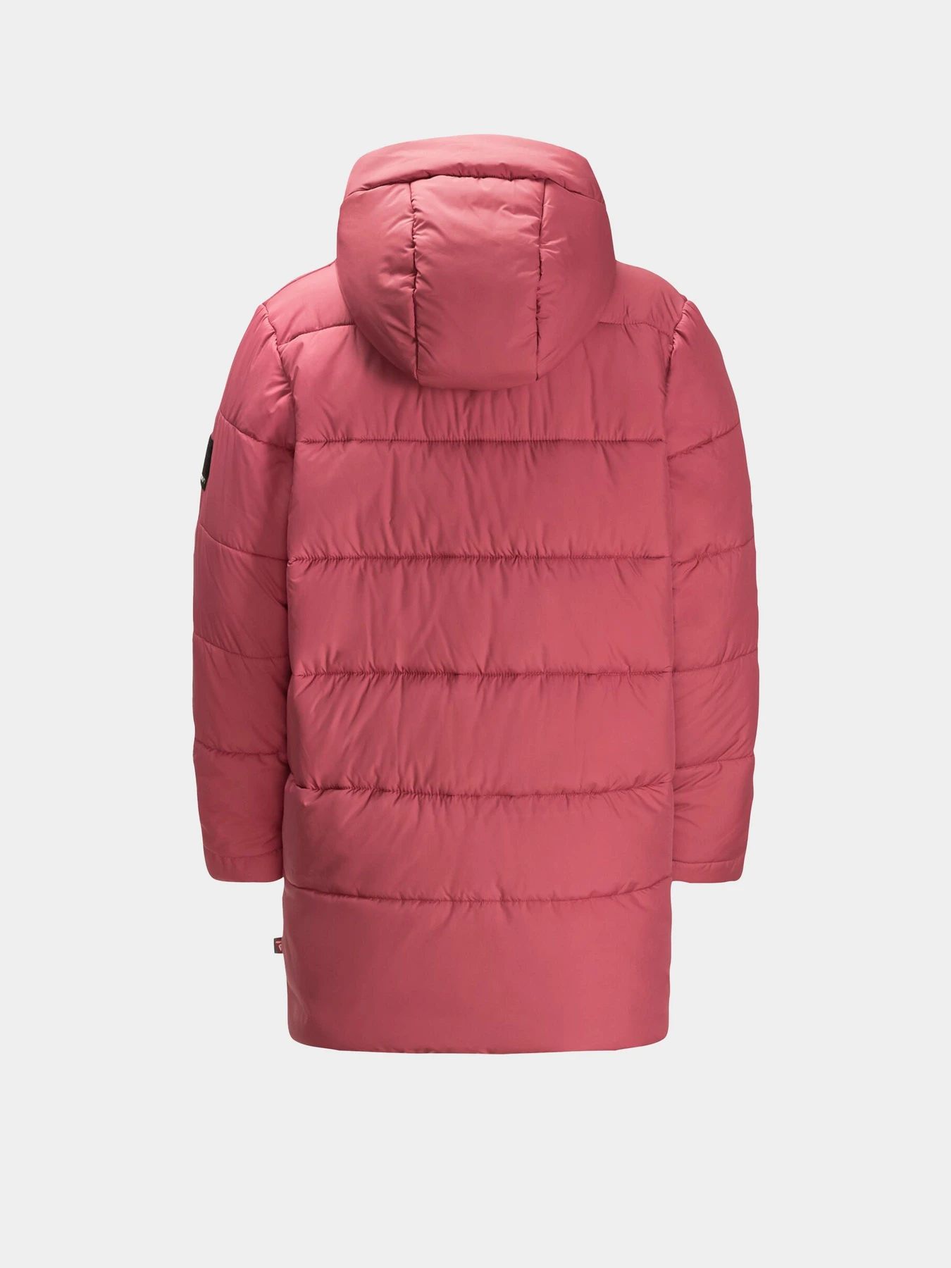 Куртки та дублянки Jack Wolfskin Teen Ins модель 1610171_2428 Фото