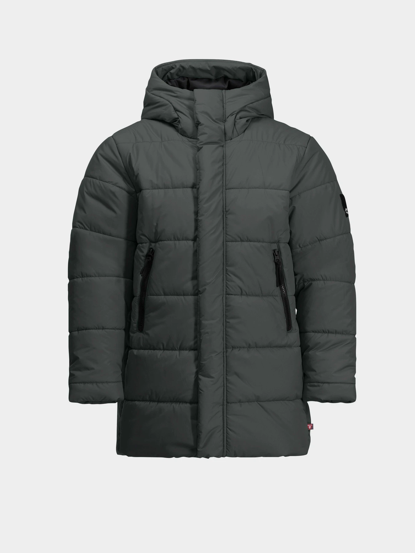 Куртки и дубленки Jack Wolfskin Teen Ins модель 1610171_4136 Куртки и дубленки Jack Wolfskin Teen Ins модель 1610171_4136 Фото