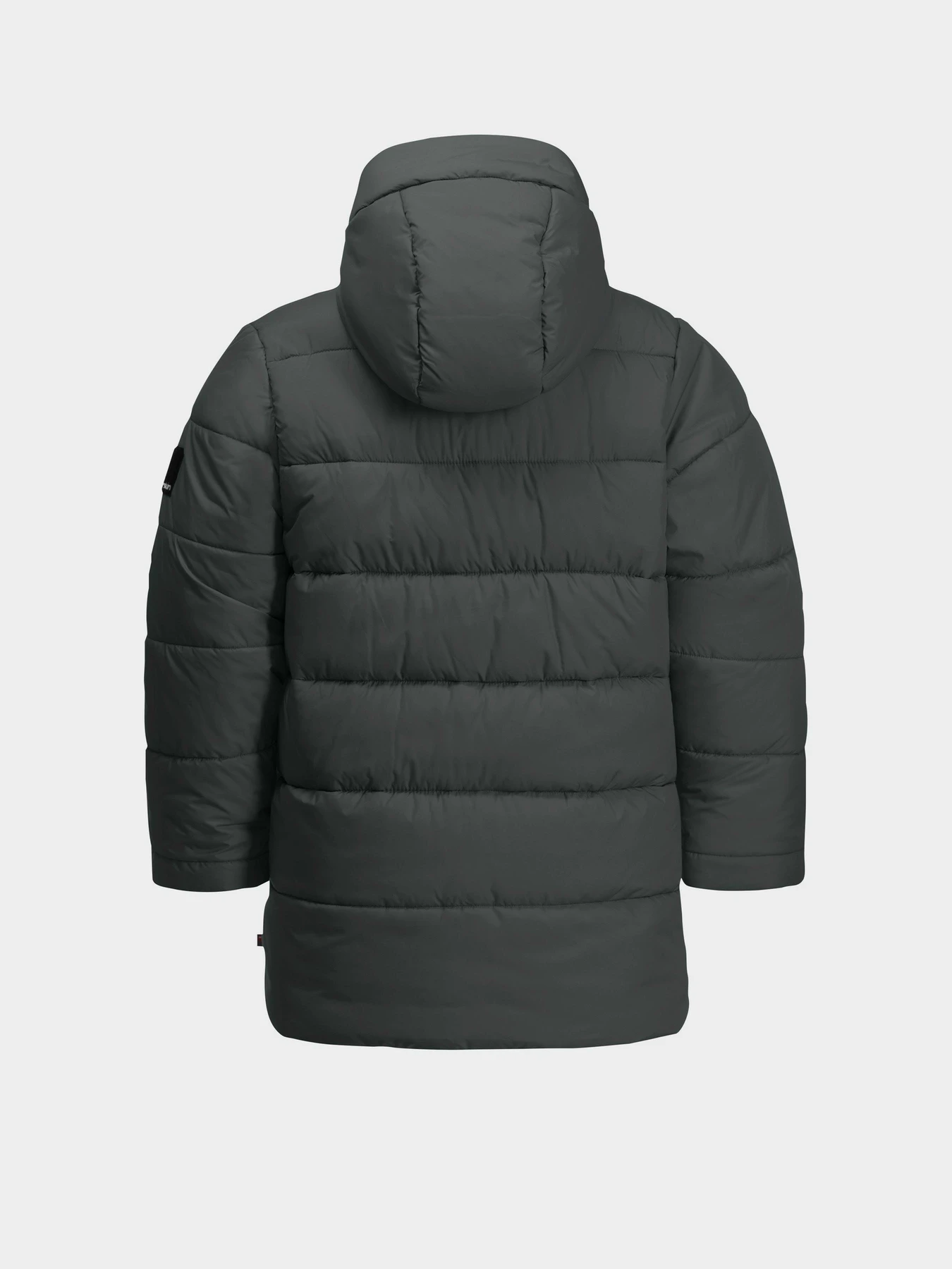 Куртки и дубленки Jack Wolfskin Teen Ins модель 1610171_4136 Куртки и дубленки Jack Wolfskin Teen Ins модель 1610171_4136 Фото