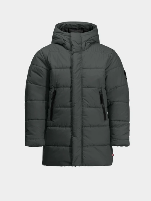 Куртки и дубленки Jack Wolfskin Teen Ins модель 1610171_4136 Фото