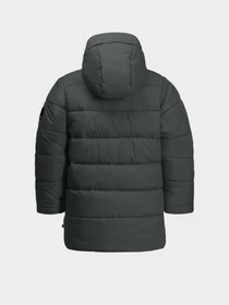 Куртки и дубленки Jack Wolfskin Teen Ins модель 1610171_4136 Фото