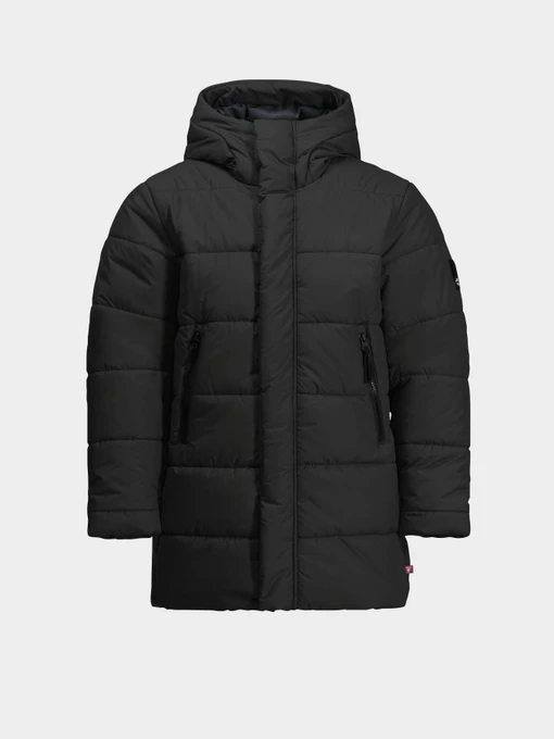 Куртки и дубленки Jack Wolfskin Teen Ins модель 1610171_6502 Фото