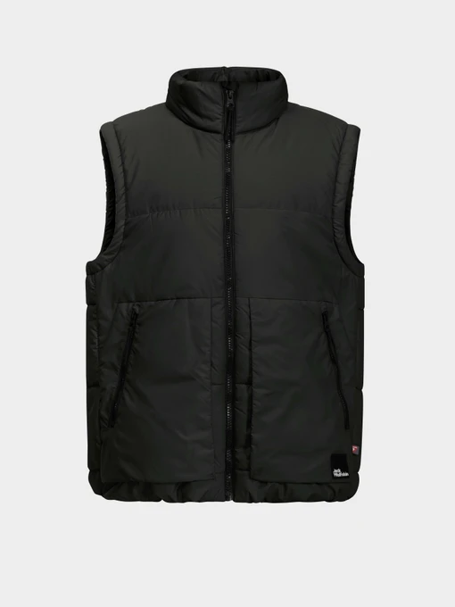 Куртки та дублянки Jack Wolfskin Teen Ins Vest Y модель 1610211_6502 Фото