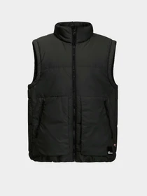Куртки и дубленки Jack Wolfskin Teen Ins Vest Y модель 1610211_6502 Фото