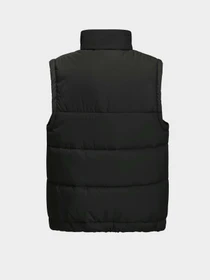 Куртки и дубленки Jack Wolfskin Teen Ins Vest Y модель 1610211_6502 Фото