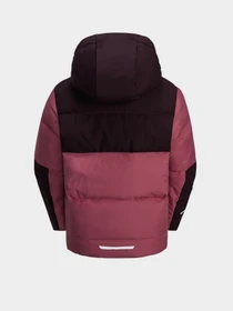 Куртки и дубленки Jack Wolfskin Actamic модель 1610261_2428 Фото