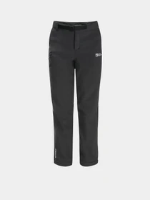 Брюки Jack Wolfskin Actamic Pants модель 1610351_6350 Фото