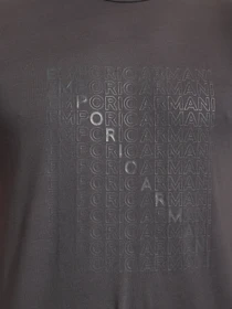 Футболки и поло Emporio Armani модель 6K1TA5-1JPZZ-0697 Фото