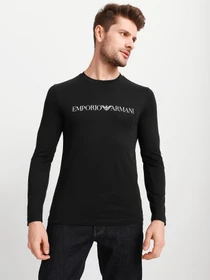 Худи и свитшоты Emporio Armani модель 8N1TN8-1JPZZ-0974 Фото