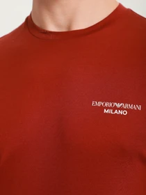 Футболки и поло Emporio Armani модель 6K1TB8-1JSAZ-0358 Фото