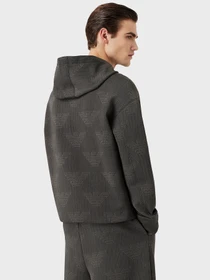 Худи и свитшоты Emporio Armani модель 3L1MFR-1JHSZ-F637 Фото