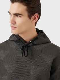 Худи и свитшоты Emporio Armani модель 3L1MFR-1JHSZ-F637 Фото