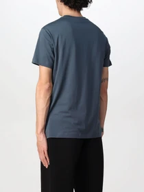 Футболки и поло Emporio Armani модель 3L1TFM-1JPZZ-09G7 Фото