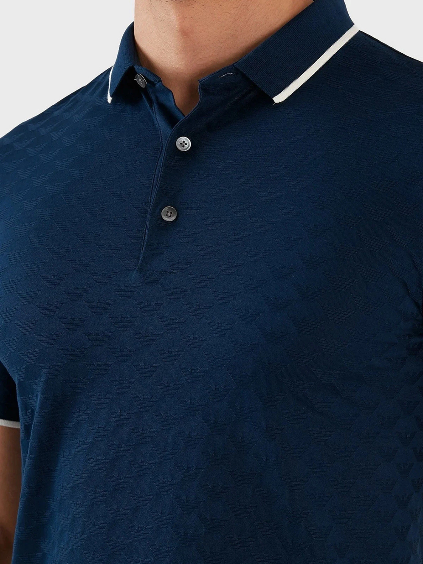 Футболки и поло Emporio Armani модель 8N1FP0-1JHWZ-0947 Футболки и поло Emporio Armani модель 8N1FP0-1JHWZ-0947 Фото