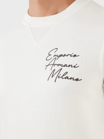 Худи и свитшоты Emporio Armani модель 6L1MP2-1JQNZ-01D5 Фото