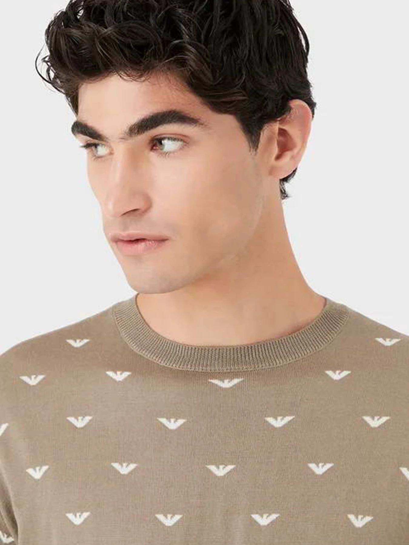 Свитры и кардиганы Emporio Armani модель 6L1MX1-1MPRZ-F119 Фото