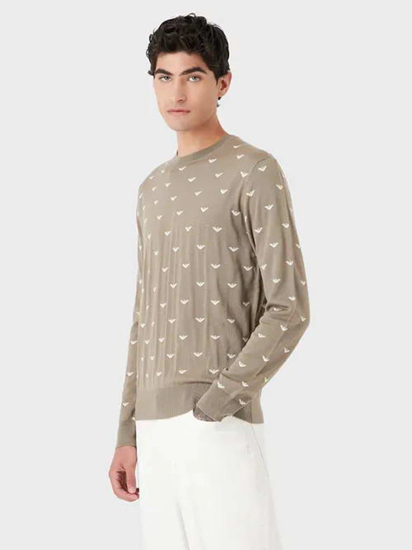 Свитры и кардиганы Emporio Armani модель 6L1MX1-1MPRZ-F119 Фото