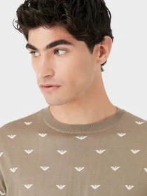 Свитры и кардиганы Emporio Armani модель 6L1MX1-1MPRZ-F119 Фото