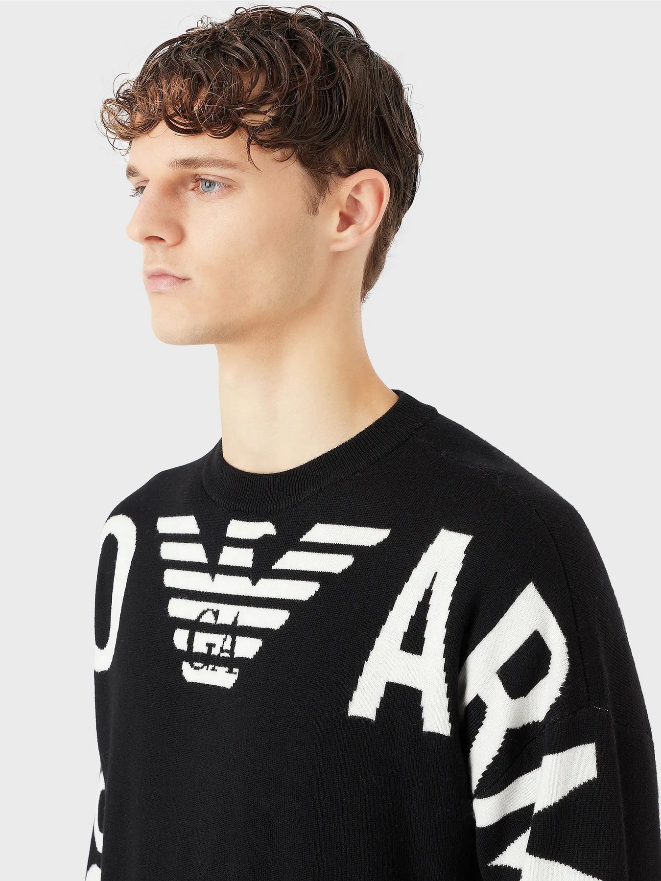 Свитры и кардиганы Emporio Armani модель 6L1MXV-1MBZZ-F018 Фото