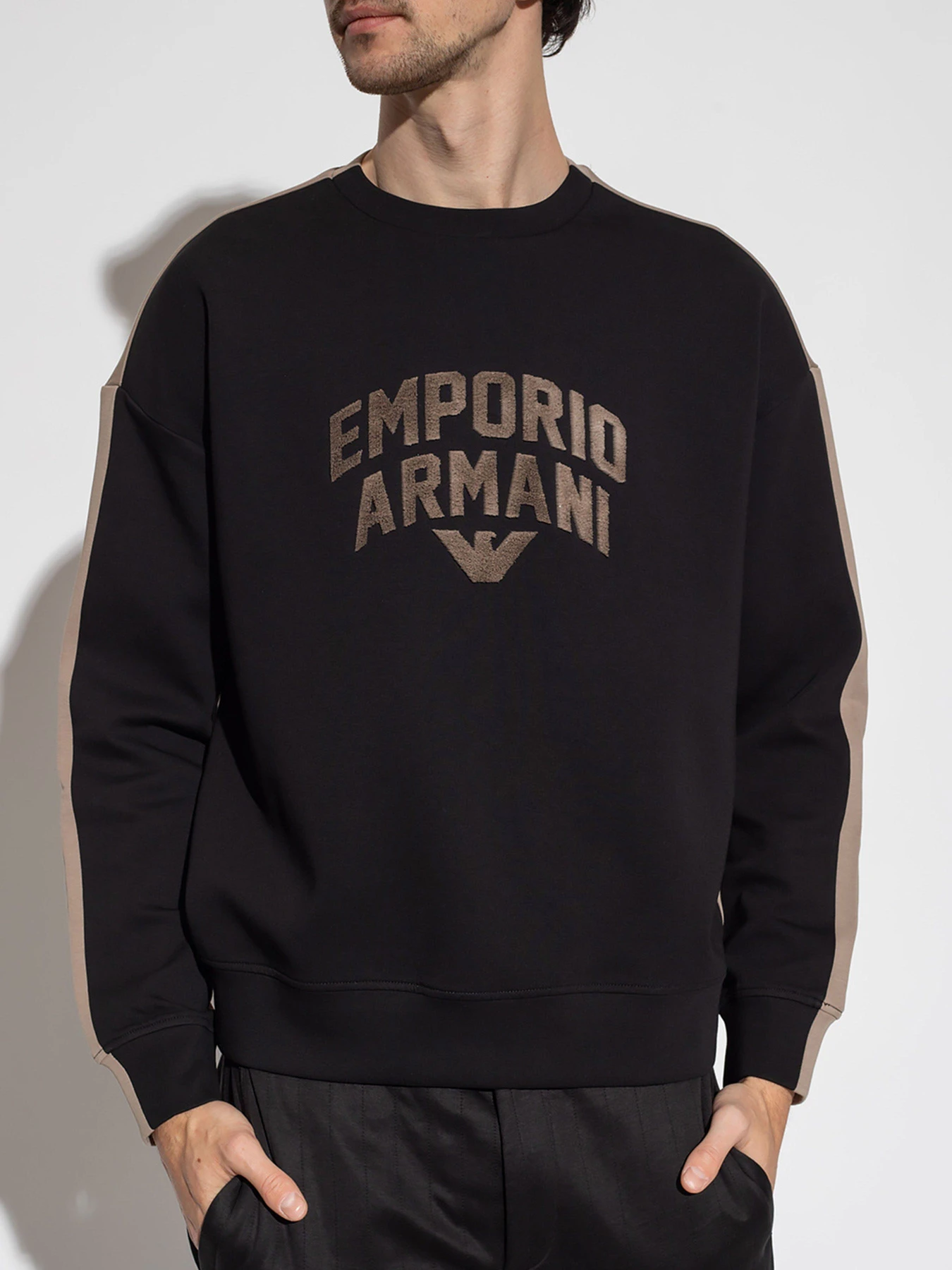 Худи и свитшоты Emporio Armani модель 3R1MBE-1JHSZ-0087 Худи и свитшоты Emporio Armani модель 3R1MBE-1JHSZ-0087 Фото