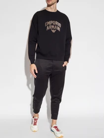 Худи и свитшоты Emporio Armani модель 3R1MBE-1JHSZ-0087 Фото