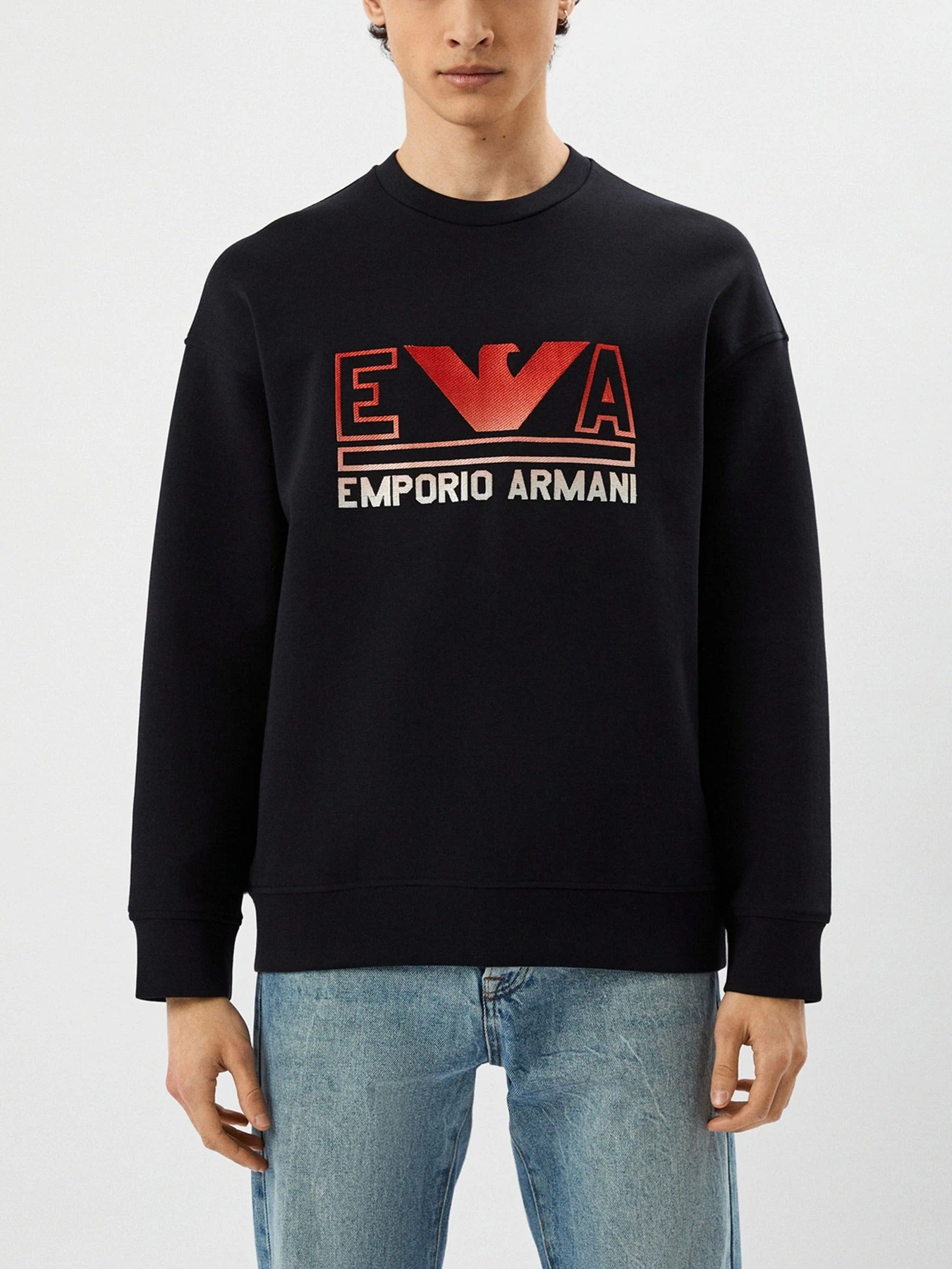 Худи и свитшоты Emporio Armani модель 3R1MBT-1JHSZ-09K3 Худи и свитшоты Emporio Armani модель 3R1MBT-1JHSZ-09K3 Фото