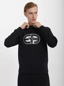 Худи и свитшоты Emporio Armani модель 3R1MDB-1JHSZ-0920 Фото