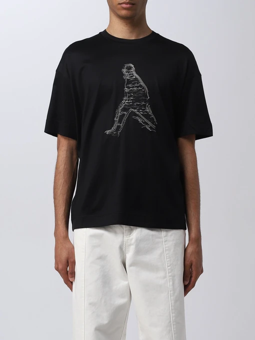 Футболки и поло Emporio Armani модель 3R1TT9-1JUVZ-0920 Фото