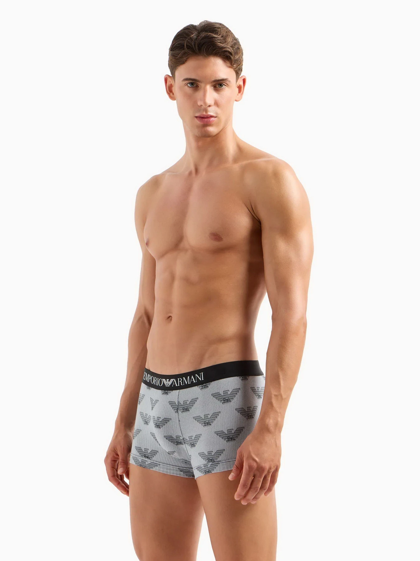 Нижнее белье Emporio Armani модель 111210-3F504-12511 Нижнее белье Emporio Armani модель 111210-3F504-12511 Фото