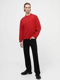 Худи и свитшоты Emporio Armani модель 3D1MDX-1JHSZ-0363 Фото