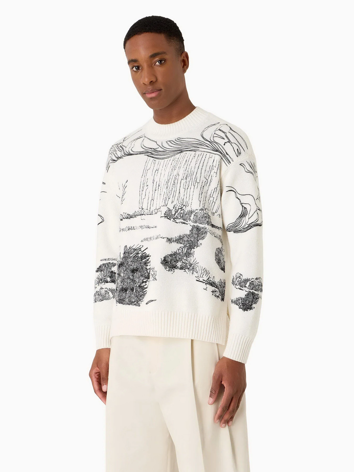 Свитры и кардиганы Emporio Armani модель 3D1MV2-1M02Z-0103 Свитры и кардиганы Emporio Armani модель 3D1MV2-1M02Z-0103 Фото
