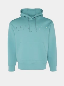 Худи и свитшоты Emporio Armani модель 3D1M72-1JHSZ-0759 Фото