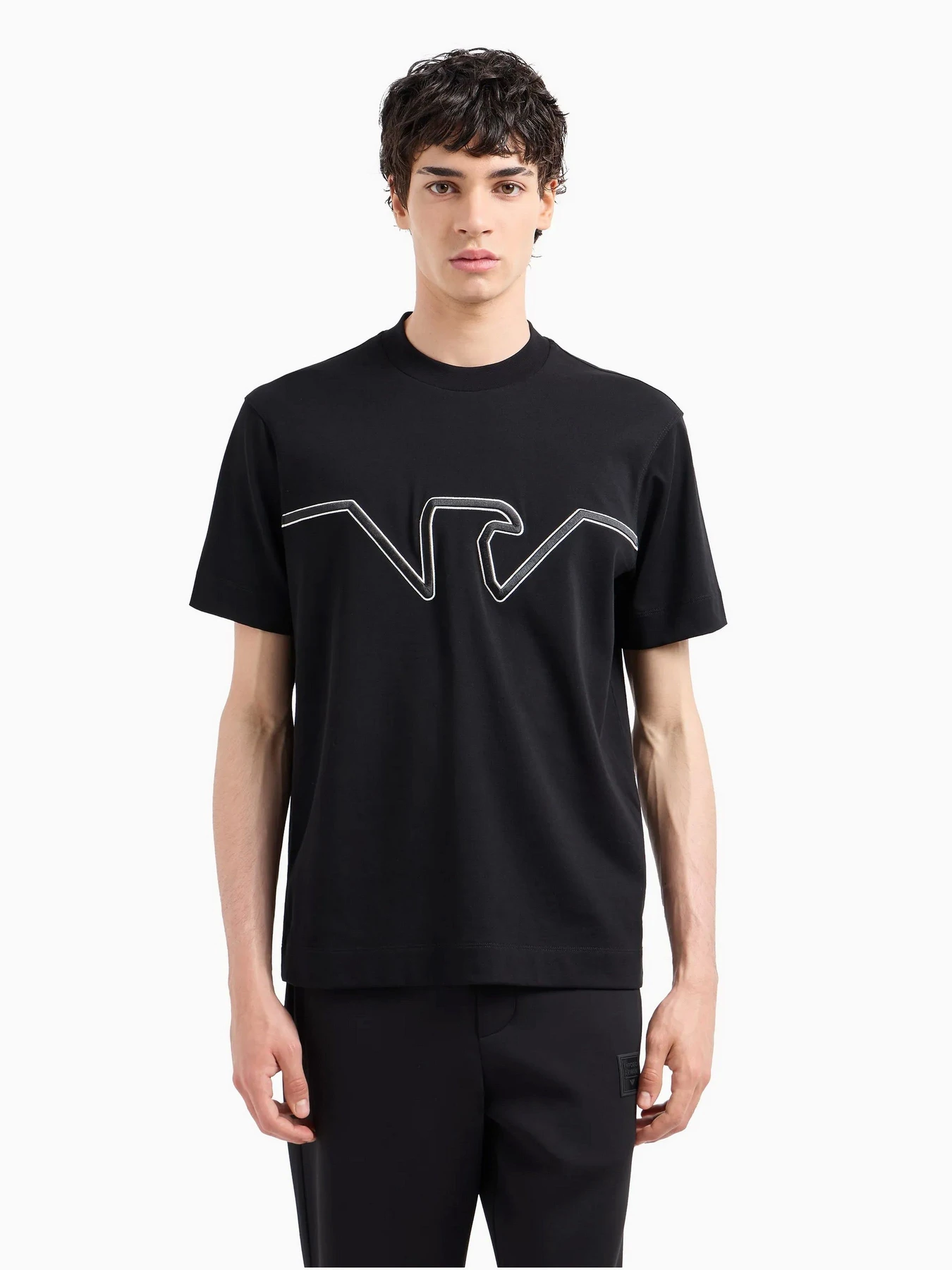 Футболки и поло Emporio Armani модель 6D1TQ9-1JWZZ-0039 Футболки и поло Emporio Armani модель 6D1TQ9-1JWZZ-0039 Фото