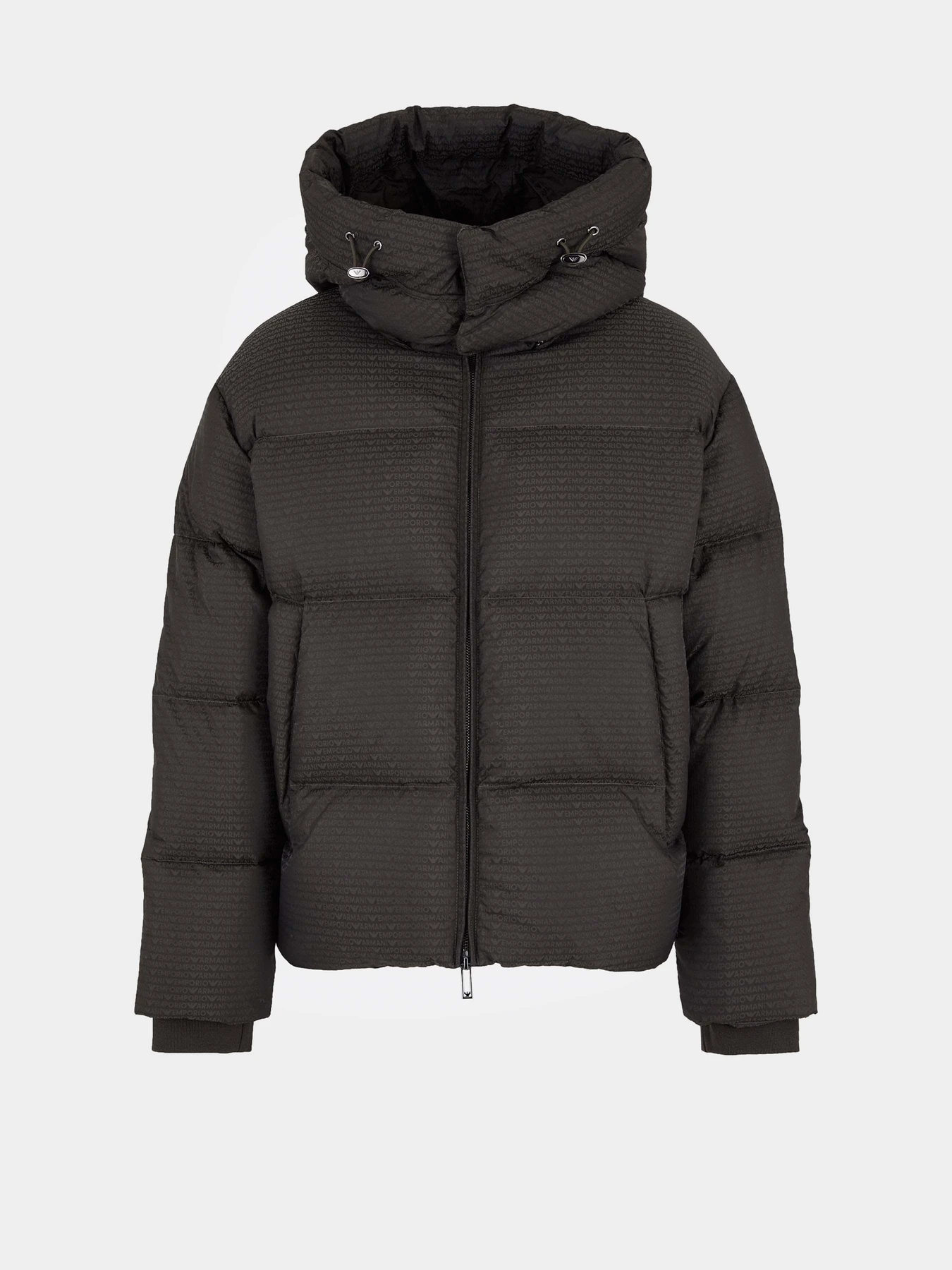 Куртки и дубленки Emporio Armani модель 6D1BC3-1NNXZ-05A6 Куртки и дубленки Emporio Armani модель 6D1BC3-1NNXZ-05A6 Фото