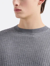 Свитры и кардиганы Emporio Armani Travel Essentials модель EM000130-AF10460-O8003 Фото