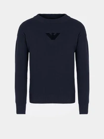 Свитры и кардиганы Emporio Armani Icon Project модель EM000515-AF12177-UB109 Фото