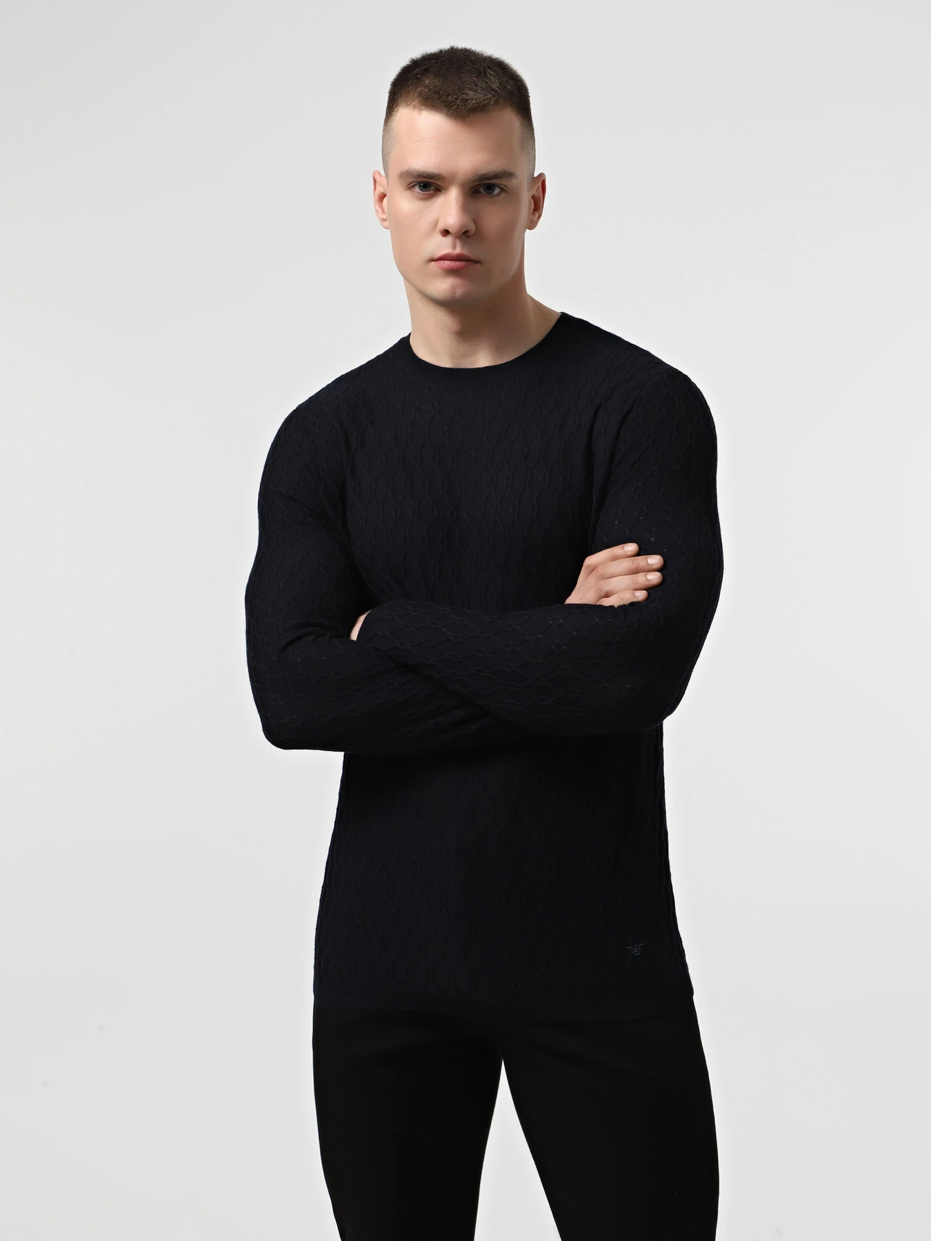 Свитры и кардиганы Emporio Armani модель EM000883-AF13851-FB078 Свитры и кардиганы Emporio Armani модель EM000883-AF13851-FB078 Фото