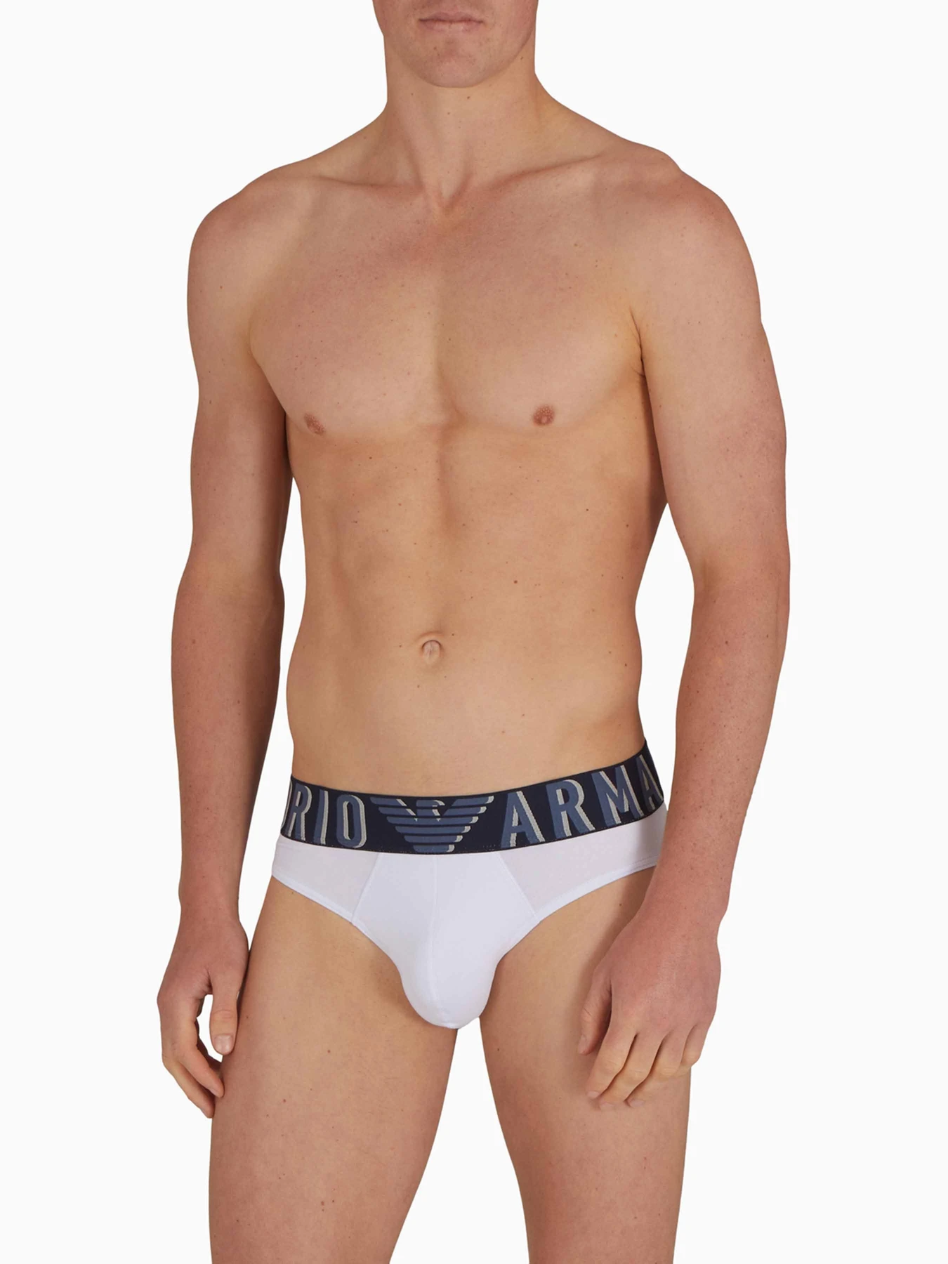 Нижнее белье Emporio Armani модель EM000229-AF10772-U0002 Нижнее белье Emporio Armani модель EM000229-AF10772-U0002 Фото