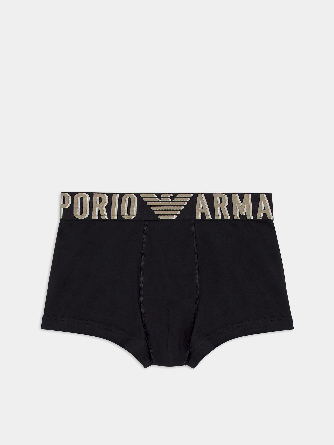 Нижнее белье Emporio Armani модель EM000231-AF10772-UC001 Нижнее белье Emporio Armani модель EM000231-AF10772-UC001 Фото