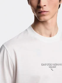 Футболки и поло Emporio Armani модель EM002838-AF10761-U0003 Фото