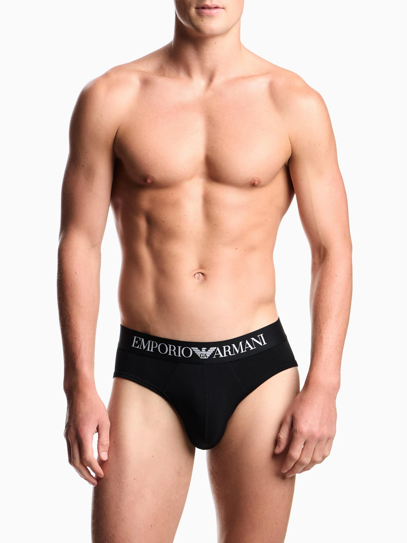 Нижнее белье Emporio Armani модель EM000230-AF14133-UC001 Нижнее белье Emporio Armani модель EM000230-AF14133-UC001 Фото